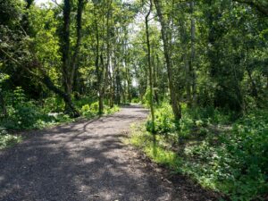 Slingerpad door het oude bos van Zomerlanden in 2021