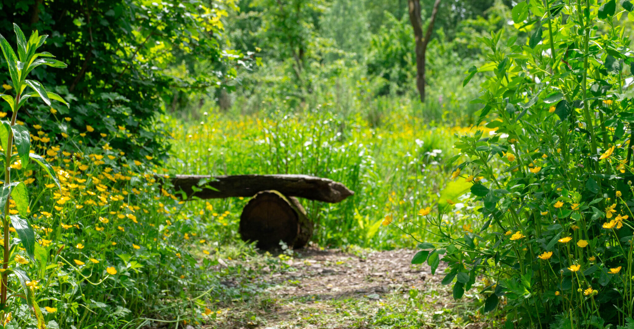 Bankje bij de poel op de natuurbegraafplaats